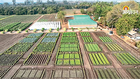 Agriculture festival at MPKV Rahuri