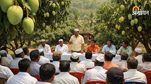 Mango growers meeting in Devgad