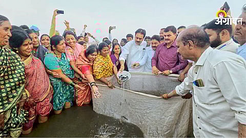 Fish Seed Released in Ujani Reservoir
