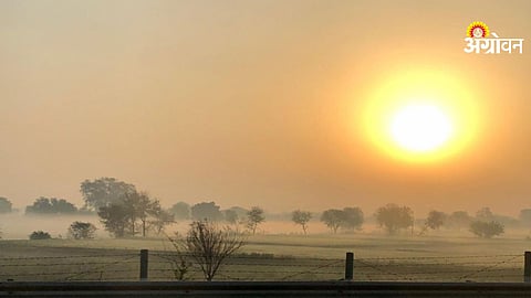 Hot and humid weather alert in Konkan