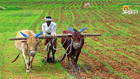 Indian Farm Schemes 2026