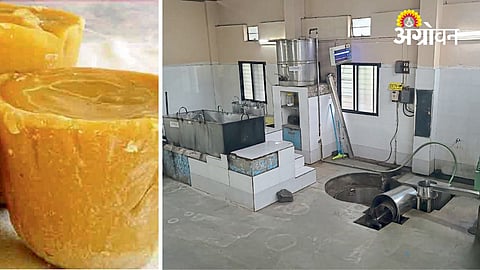 Hygienic jaggery production guidelines in India