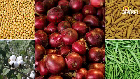 Agri commodity market trend today