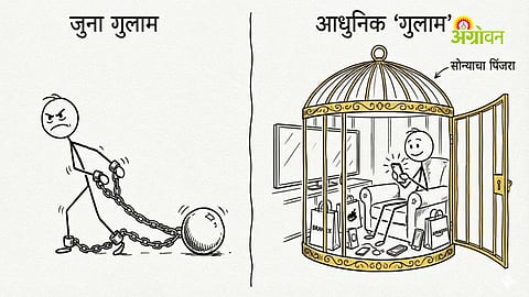 Golden cage metaphor in modern lifestyle