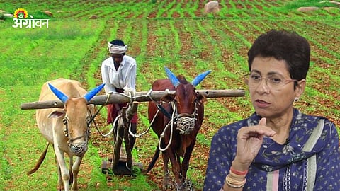 Farmer Loan Waiver