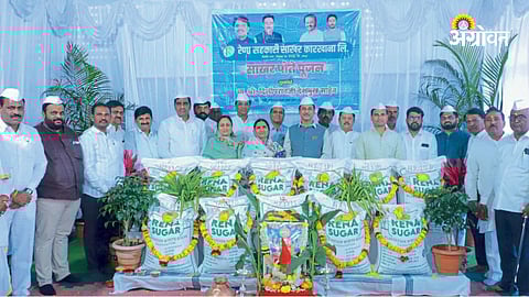 Rena Cooperative Sugar Factory 4 lakh sugar bags production