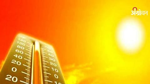 Vidarbha heatwave latest temperature report
