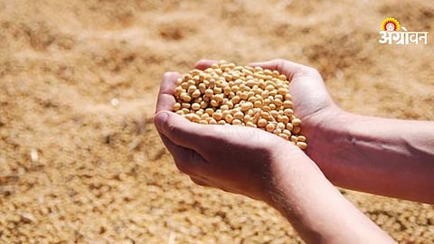 Brazil record soybean production impact