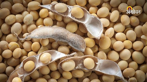 IndoSoya Development Association agreement with Argentina