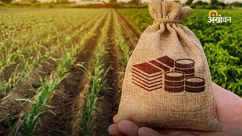 ₹800 crore crop loan demand in Khandesh Rabi season