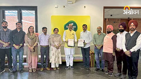 Punjab horticulture expansion and crop diversification