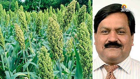 Focus on Climate-Resilient Sorghum Varieties: Vice Chancellor