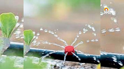 Allegations of corruption in Dr Babasaheb Ambedkar Swavalamban Yojana