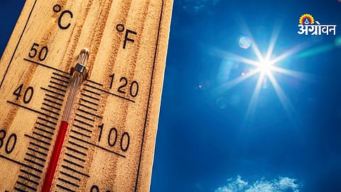 Weather department heat alert update