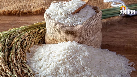 Basmati rice export news today