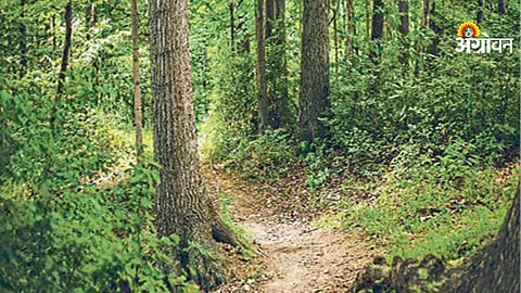 Indian Forest Act rules for recorded forest land