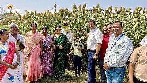 Rabi Jowar crop production technology training program