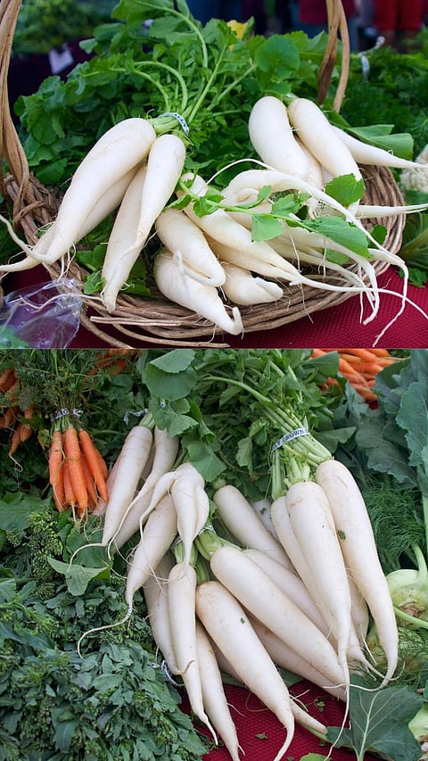 Health Benefits Of Radish
