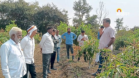 Gokrupa Amrutam based natural farming demonstration in Risod
