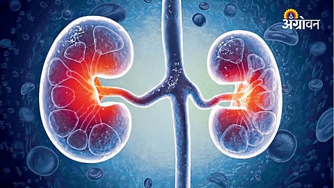 Mismatch in kidney function tests increases mortality risk