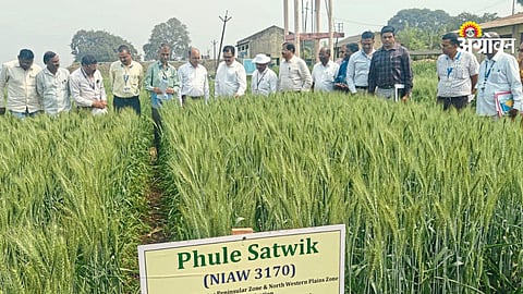 Agri commissioner wheat statement