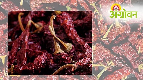 Byadagi Chilli Price