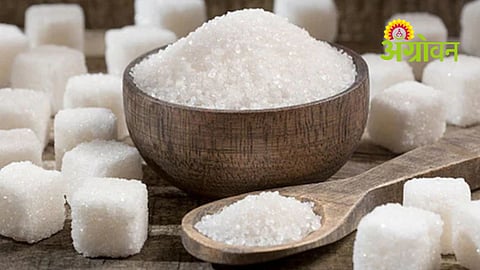 Sugar Production