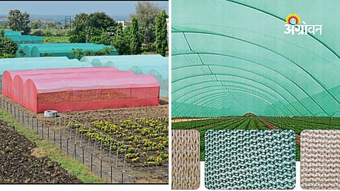 Best shade net color for vegetable crops in summer
