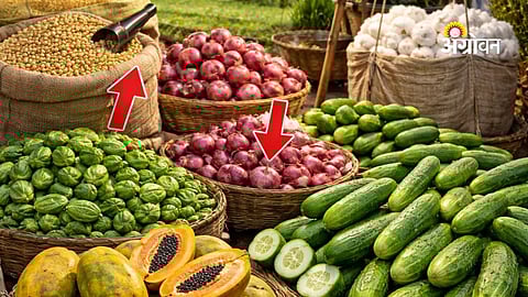 Daily Commodity Rates