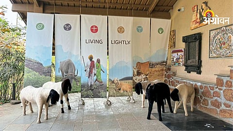 Living Lightly exhibition at Zapurza