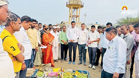 Grape auction starts in Ugav near Khanagav