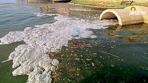 Water Pollution