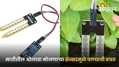 Best soil moisture sensors for drip irrigation