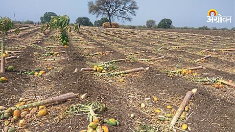 Climate change challenges for rural Maharashtra