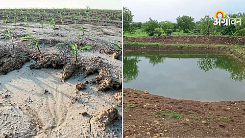 Importance of soil organic carbon in agriculture