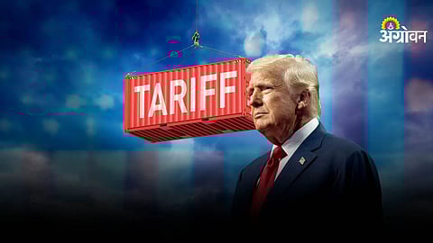 US Supreme Court cancels Trump import tariffs