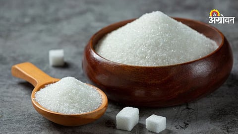 Brazil sugar export moving towards record level