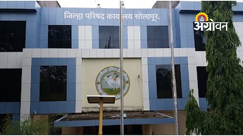 Solapur Zilla Parishad election results analysis