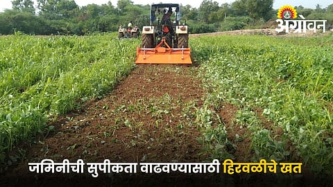 Advantages and limitations of green manuring in dryland farming