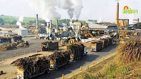 Weighbridge Verification