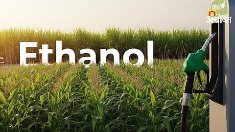 Impact of ethanol blending policy on maize prices