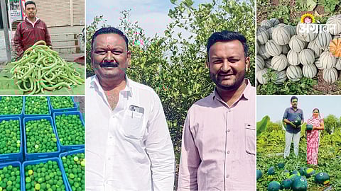 Impact of reduced fruit supply on market rates