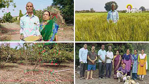 Shirur farmer smart crop planning success story