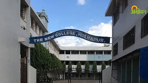 Organic Vegetable Festival