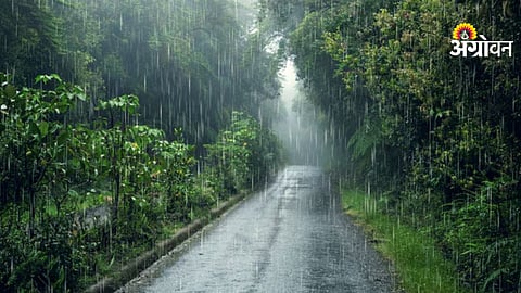 Maharashtra weather update IMD
