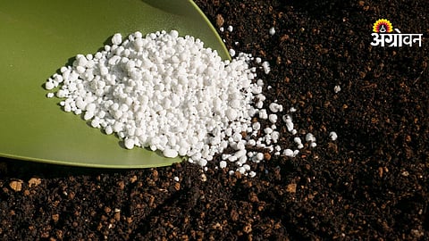 No investment claim in agri input industry