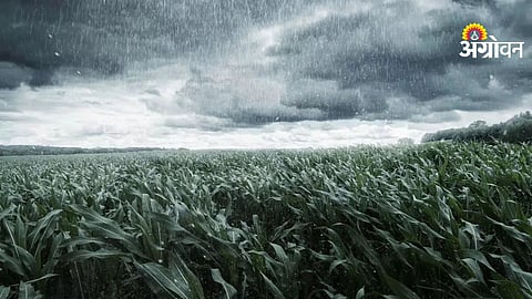 Two-day storm forecast in Maharashtra