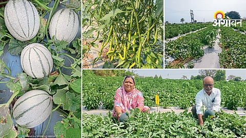 Best crop combination for year-round farm profit