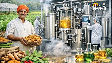 Benefits of supercritical CO2 extraction in herbal industry