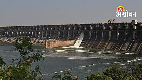 Ujani Dam water release impact on irrigation